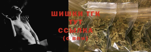 индика Покровск