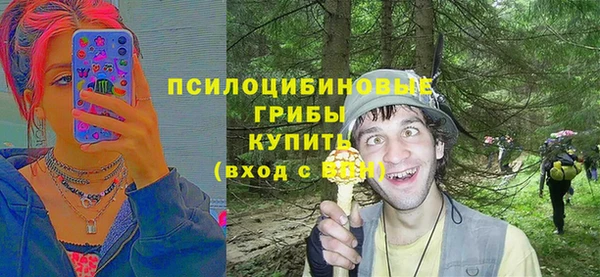 apvp Покачи