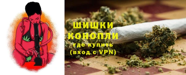 индика Покровск