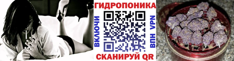 Конопля семена  mega ССЫЛКА  Светлогорск 